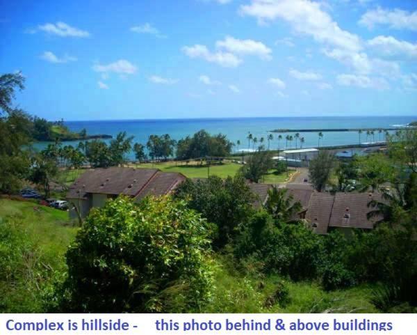 Banyan Harbor Aparthotel Lihue Exterior photo